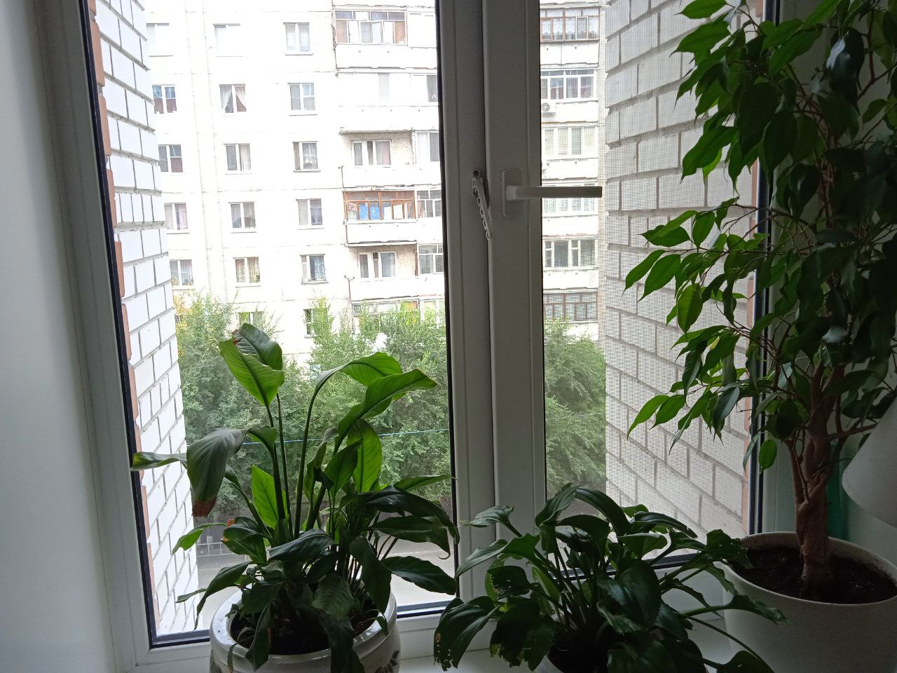 https://kazan.delaem-okna.ru/storage/app/uploads/public/63f/332/8c0/63f3328c0d6f7867060515.jpg